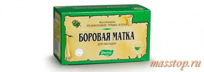 Боровая матка при мастопатии: польза и противопоказания