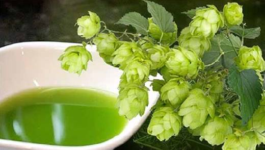 Народная медицина